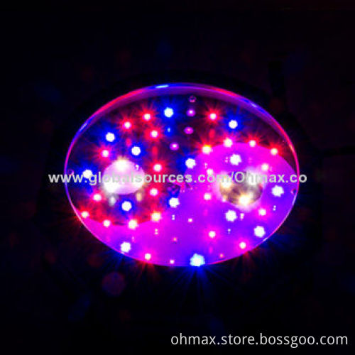 Integrated Taichi LED growth lights for nursery plants, full spectrum for medicinal plants growth